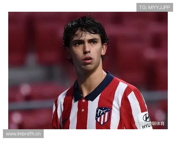 菲利克斯训练完直接去米其林三星，这谁顶得住啊